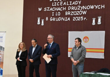 Brąz brzozowskiego „ogólniaka”