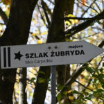 80. rocznica śmierci Antoniego Żubryda